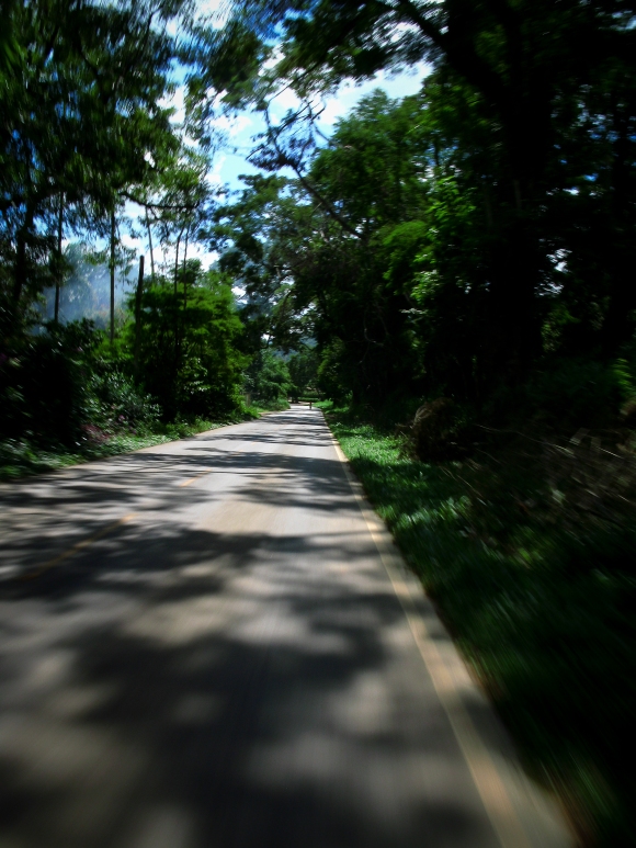 Como eu disse antes... uma estrada bastante agradável para se pedalar.